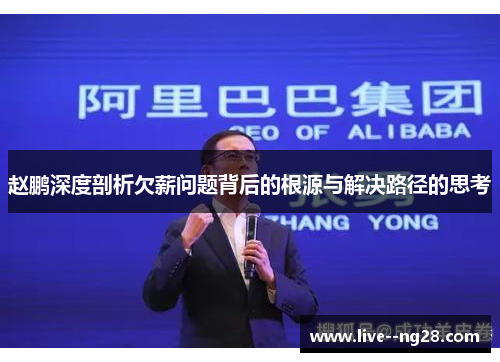 赵鹏深度剖析欠薪问题背后的根源与解决路径的思考 赵鹏深度剖析欠薪问题背后的根源与解决路径的思考