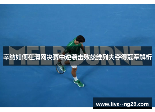 辛纳如何在澳网决赛中逆袭击败兹维列夫夺得冠军解析