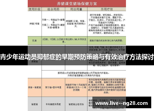 青少年运动员抑郁症的早期预防策略与有效治疗方法探讨