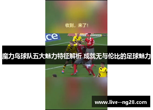 魔力鸟球队五大魅力特征解析 成就无与伦比的足球魅力