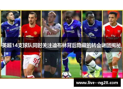 英超14支球队同时关注迪布林背后隐藏的转会谜团揭秘