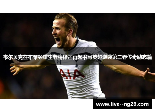 韦尔贝克在布莱顿重生老将锋芒再起书写英超逆袭第二春传奇励志篇