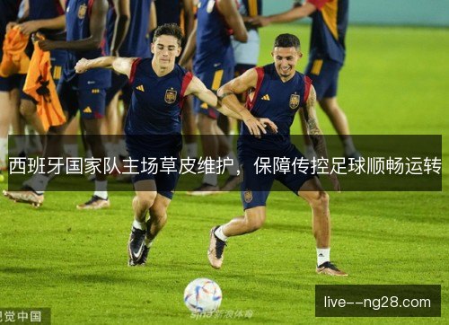西班牙国家队主场草皮维护，保障传控足球顺畅运转